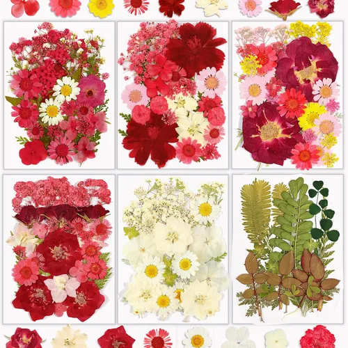 Miniatura 24 de Flores Secas, Resiners 58 Piezas Flores Prensadas para Manualidades Rosa Flores Secas Naturales Reales Kit de Hojas Secas para DIY Hacer