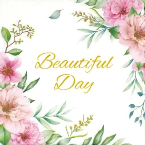 AM Décor - 20 servilletas de papel suaves de 3 capas de papel de seda de 13 x 13 pulgadas (desplegadas) (Beautiful Day, 13 x 13 pulgadas (paquete de