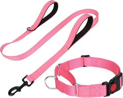 FunTags Collar de martingala reflectante para perros, hebilla de liberación rápida, correa de perro de 5 pies con doble asa acolchada, juego de