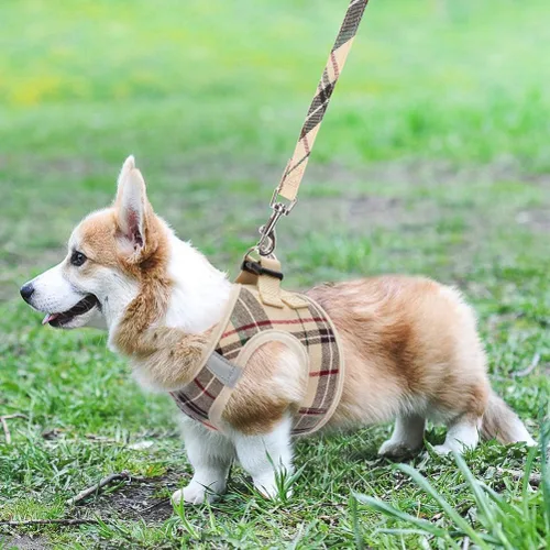 Miniatura 8 de Arnés de malla suave para cachorros – Juego de arnés y correa para perros pequeños, ajustable y cómodo chaleco reflectante acolchado para cachorros