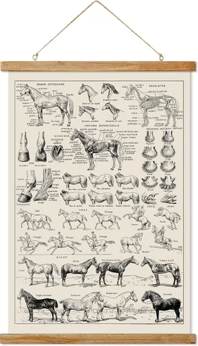 Miniatura 35 de Ovfovy Póster vintage de hongos con marco de madera, estilo retro de pintura botánica de pared, póster de tabla de referencia ilustrativa para sala