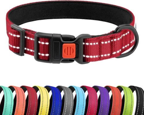 Miniatura 16 de CollarDirect Collar reflectante para perro o cachorro pequeño, mediano y grande con hebilla de liberación rápida, para machos y hembras, nailon Rojo