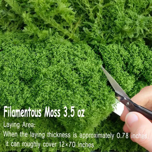 Miniatura 2 de Musgo verde claro falso para plantas en maceta, 3.5 onzas, musgo sintético artificial para manualidades, musgo preservado para bricolaje, centros