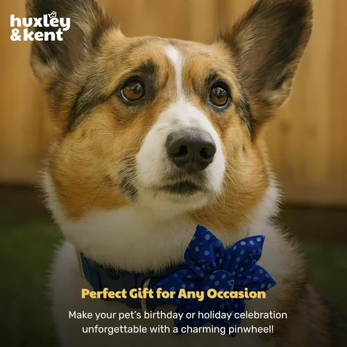 Miniatura 8 de Huxley & Kent Lazo de molinete para mascotas para perros y gatos – Accesorio de collar de gancho y bucle ajustable para vacaciones – Lindo y cómodo