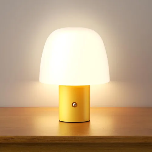 CHLORANTHUS Lámpara de mesa LED portátil, lámpara de escritorio inalámbrica recargable, luz nocturna de atenuación continua táctil de 3 colores para