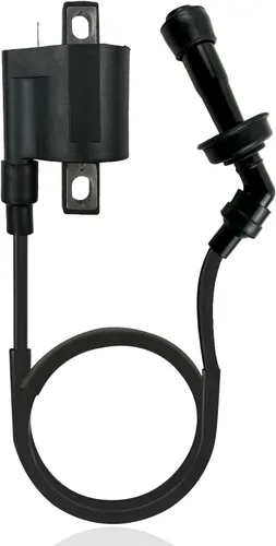 Miniatura 2 de 3YF-82370-00-00 Bujía de bobina de encendido para Yamaha Grizzly 660 YFM660 2002-2008 Rhino 660 YXR660 2004-2007 Raptor 660R YFM660 2001-2005