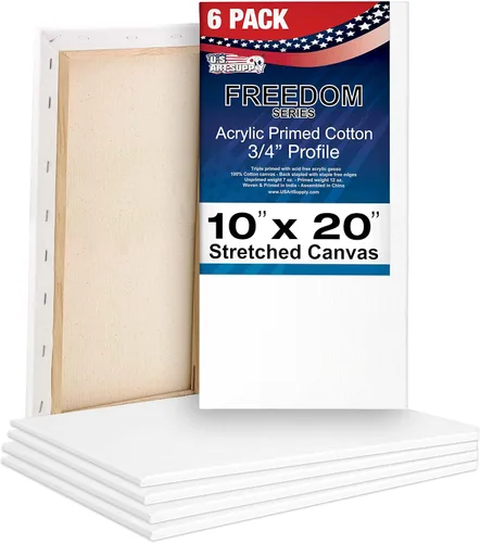 U.S. Art Supply Lienzos estirados de 10 x 20 pulgadas para pintar, imprimado triple de 12 onzas, paquete de 6 unidades, perfil blanco en blanco de