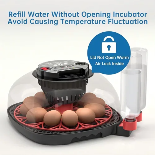 Miniatura 6 de Incubadora de huevos 12-24 con pantalla de humedad, vela de huevos, girador automático de huevos, para incubar pollos, pato, codorniz, loro Rojo