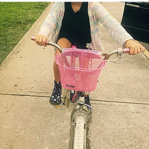 Miniatura 3 de Cesta con ganchos, frontal, extraíble, malla de alambre pequeña, cesta de bicicleta para niños
