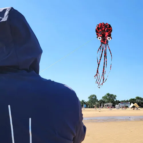 Miniatura 6 de Mint's Colorful Life Octopus Kite for Kids and Adults, Large 3D Software Octopus Kites with Long Tails, Huge Easy Flyer Kites for Beach Trip Family