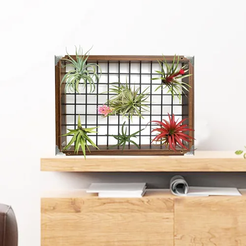 Miniatura 7 de Lilybud- lily Colgador de plantas para interiores y exteriores, macetas colgantes grandes de 16" para plantas de interior, soporte para plantas