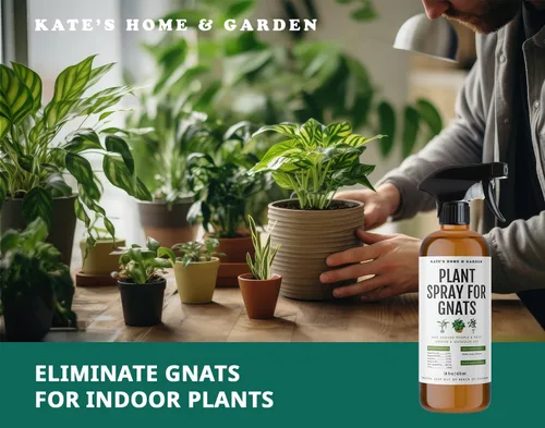 Miniatura 7 de Kate's Home & Garden - Spray para plantas contra insectos y mosquitos con 12 trampas adhesivas. Asesino de mosquitos del hongo y repelente