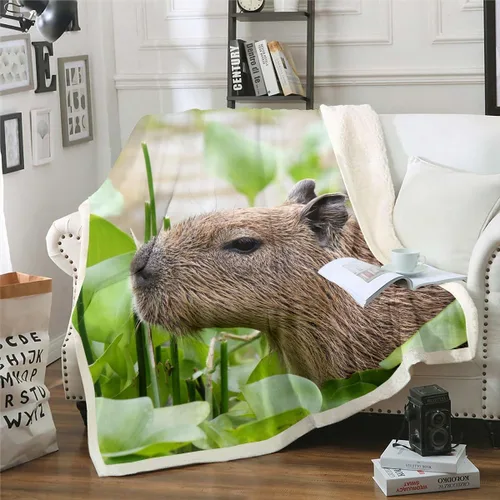 Miniatura 32 de Erosebridal Funny Capybaras Blanket Capybara Lover Gifts Cute Fleece Blanket for Kids Girls Boys, Capybara Decorations Blankets 40"x50", Kawaii