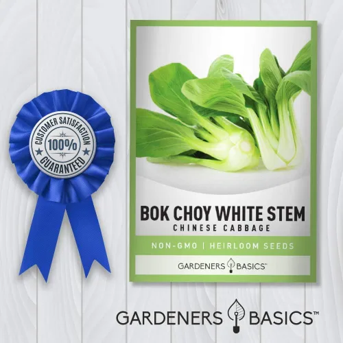 Miniatura 4 de Gardeners Basics, Bok Choy - Semillas de col china para plantar, (Pak Choi) reliquia, variedad vegetal sin OMG, semillas de 0.04 onzas (0.04 oz)