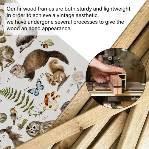 Miniatura 4 de XIAOAIKA Póster Educativo de Vida Silvestre de Seto Británico - Cuadro Ilustrado de la Naturaleza con Marco de Madera - Arte de Pared de Animales