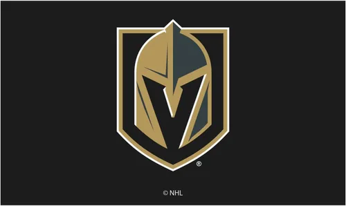 Miniatura 17 de Team Sports America Tapete con licencia oficial de la NHL 28 x 16 pulgadas (Anaheim Ducks)