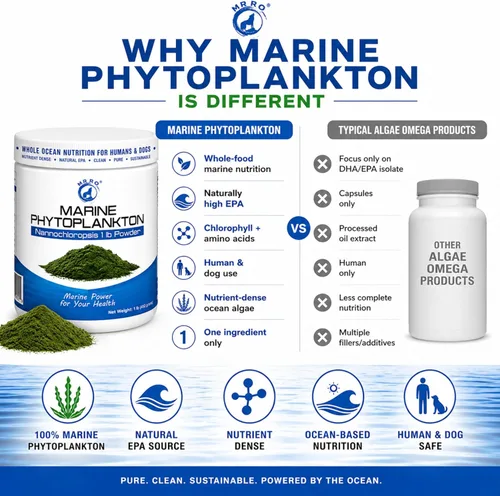 Miniatura 2 de Polvo de fitoplancton marino de 1 libra - Superalimento oceánico denso en nutrientes para humanos y perros - Fuente natural de EPA - Microalgas