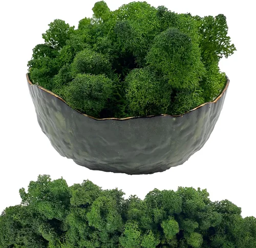 Miniatura 20 de Musgo artificial preservado de musgo para plantas en maceta, musgo verde fresco natural para manualidades, decoración de pared floral, centros