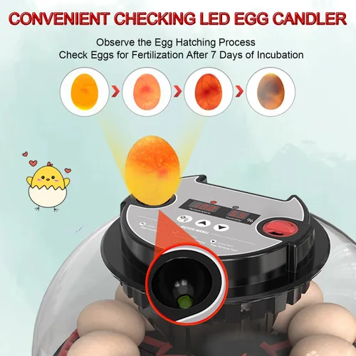 Miniatura 4 de Incubadora de huevos 12-24 con giro automático de huevos y control de humedad, recarga de agua, vela de huevos, incubadoras para incubar pollo