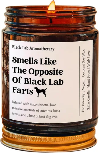 Regalos de laboratorio negro, regalos de labrador, mamá de laboratorio negra, vela de laboratorio negra, regalos de labrador retriever, regalo para