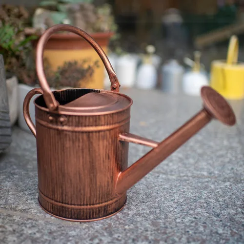 Miniatura 4 de Regadera de 1 galón, regadera de cobre, lata de agua de metal con boquilla extraíble, lata de agua perfecta para plantas en interiores y exteriores