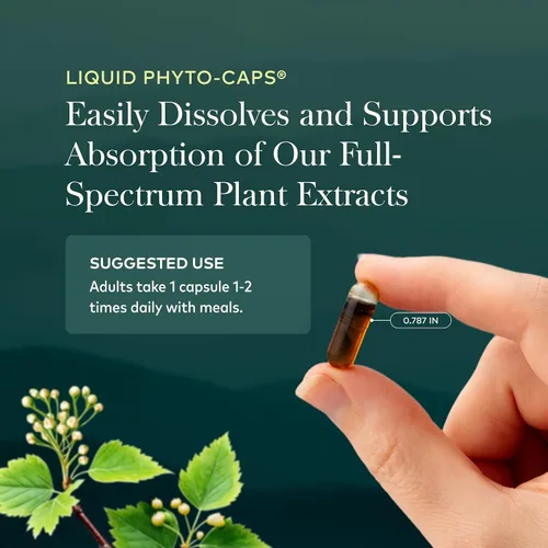 Miniatura 6 de Gaia Herbs Fito cápsulas de cúrcuma líquida suprema para mayor fuerza, 1, 1