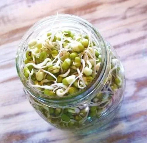 Miniatura 3 de Mezcla de germinación de Megan's de 8 onzas, mezcla perfecta de semillas de germinación de frijol mung, alfalfa, brócoli y rábano, sin OMG, Country