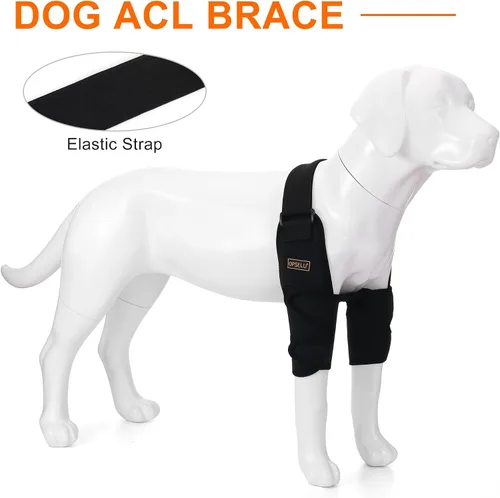 Miniatura 7 de Codera ajustable para perro con soporte de hombro, soporte de pierna delantera para perro para ligamentos desgarrados, artritis, rehabilitación
