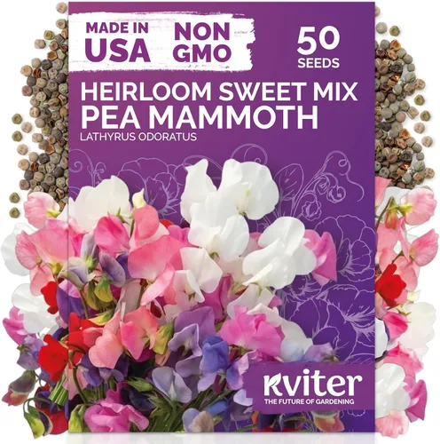 Miniatura 13 de KVITER 1600 semillas de pensamiento de los gigantes suizos para plantar (Viola wittrockiana) - Paquetes de semillas de colores mixtos Flores