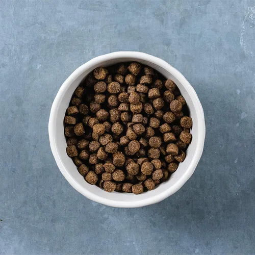 Miniatura 13 de Evolve Classics - Comida para perros con receta de cordero y arroz integral, 3.75 libras