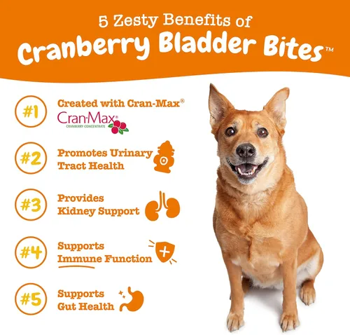 Miniatura 2 de Zesty Paws Suplemento de arándano para perros - Control de vejiga para perros - Soporte del tracto urinario - Masticables de arándano con D-manosa