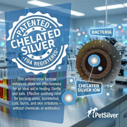 Miniatura 4 de PetSilver Apoyo inmunológico, solución nebulizadora natural, promueve la salud respiratoria en gatos y perros, alergias, tratamiento de senos