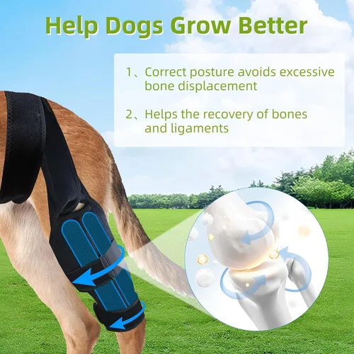 Miniatura 8 de Rodillera para perro para pierna trasera desgarrada del ligamento cruzado anterior, envoltura trasera ajustable para recuperación y prevención