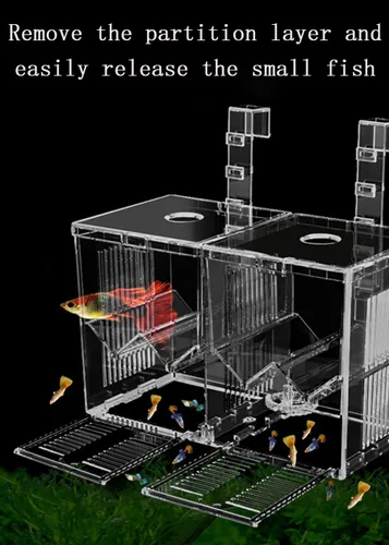 Miniatura 3 de Caja de criador de acuario, caja de criador de acuario de acrílico, cajas de alimentación de incubadora de aislamiento para criadero de peces