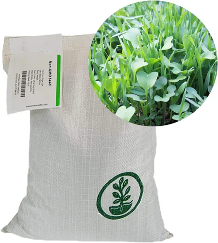 Miniatura 2 de Mountain Valley Seed Company - Mezcla de semillas para cultivo de cubierta sin labranza para granja y jardín - 11.34 kg a granel - Mezcla