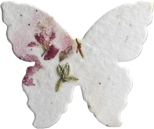 Miniatura 4 de Of The Earth Papel hecho a mano – Papel de semillas de flores silvestres con forma de mariposa – Grande 3 pulgadas – Juego de 100