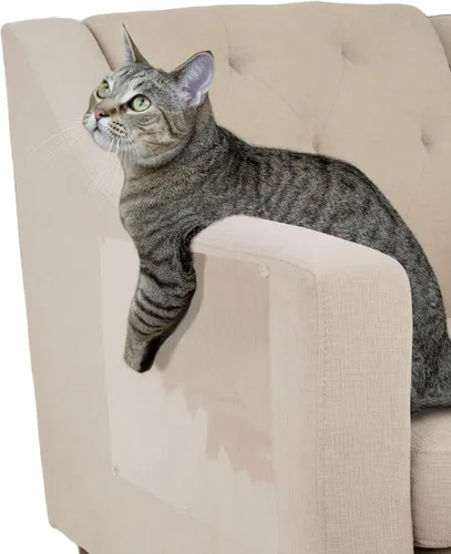 Miniatura 15 de Kitty City Clip rascador para gatos sobre la puerta – Soporte vertical para rascador para gatos – Protege muebles y puertas – Se adapta a la mayoría