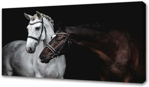 Jiuqinghua Lienzo impreso para pared, cuadro de caballos blancos y marrones, 1 panel, pintura de animales salvajes, obra de arte para sala de estar,