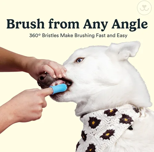 Miniatura 3 de Jasper Cepillo de dientes para perros, kit de cepillado de dientes de perro de 360 grados, cepillo de dientes para gatos, kit de cuidado dental