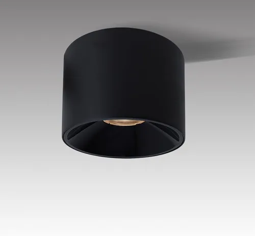 Foco de Techo LED Regulable de Aluminio Negro Mate de 4.72 pulgadas, Foco Cilíndrico para Interiores, Moderno, Minimalista, Luminaria Direccional de
