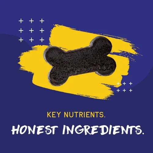 Miniatura 7 de PupGrade Multivitamínico diario para perros – Suplemento todo en uno con aceite de pescado Omega, vitaminas A, C, D, E y B complejo para la salud