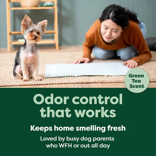 Miniatura 4 de Earth Rated Max Absorbency - Almohadillas para orinar de cachorros para perros que se absorben 2 veces más rápido y 2 veces más, a prueba de fugas