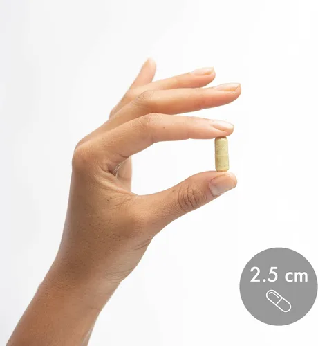 Miniatura 6 de Dr. Mercola Quercetina y pterostilbeno avanzado - Apoya la salud respiratoria e inmunológica - 500 mg de quercetina - Fórmula de alta