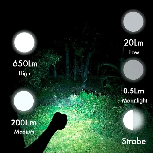 Miniatura 4 de RovyVon Aurora A1x - Linterna pequeña con llavero, alta luminosidad, 650 lúmenes, 5 modos de iluminación, para uso diario, paseo de perro