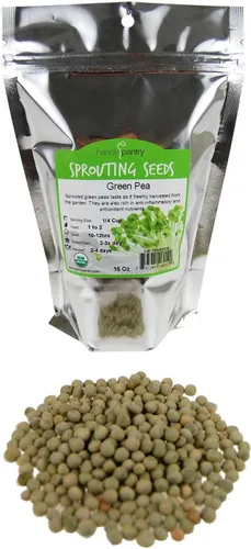 Handy Pantry Brand - Semilla orgánica certificada para germinar guisantes verdes secos – 1 libra – Guisante verde para brotes, plantación de jardín,
