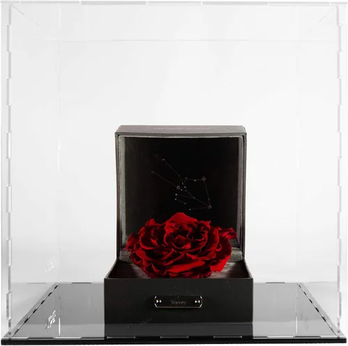 Miniatura 3 de Caja de exhibición de acrílico transparente - Caja de mostrador para armar - Caja de exhibición transparente, protección a prueba de polvo