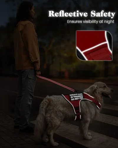 Miniatura 7 de Chaleco de perro de servicio para perros medianos, arnés de perro de servicio en entrenamiento con parches, chaleco ajustable para perros