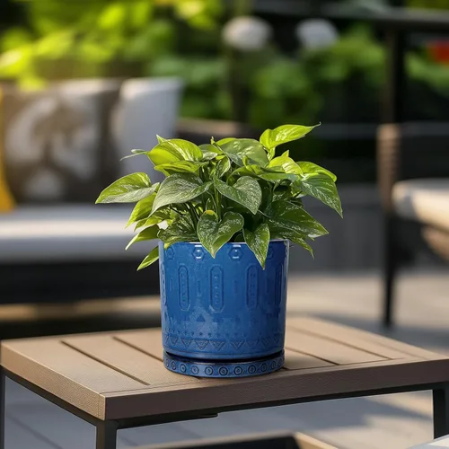 Miniatura 4 de Eightpot Maceta de cerámica de 6 pulgadas para plantas de exterior, maceta de interior con agujeros de drenaje y platillo para suculentas, maceta