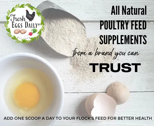 Miniatura 7 de Fresh Eggs Daily Polvo de levadura Brewers con ajo y niacina para rebaños de pollo y pato, adecuado para pollitos jóvenes y patitos, apoya