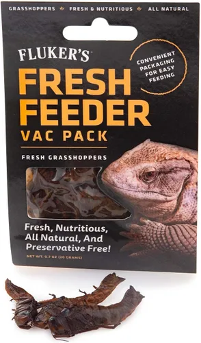 Miniatura 8 de Fluker's Fresh Feeder Vac Pack Cucarachas Dubia, Totalmente Naturales y Libres de Conservantes, Excelentes para Reptiles, Aves o Animales Pequeños